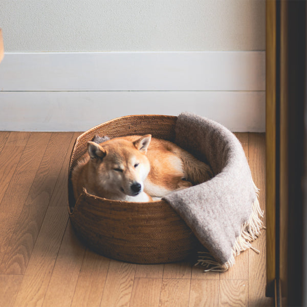 Cat&Dog Basket